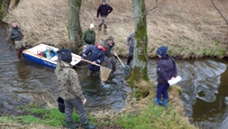 Members of the Three Rivers Fishing Club taking brown trout spawners from a Łupawa tributary.